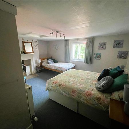 Beautiful Townhouse Next To Royal Victoria Park And Botanical Gardens Within Easy Walking Distance To Bath City Centre Eksteriør billede